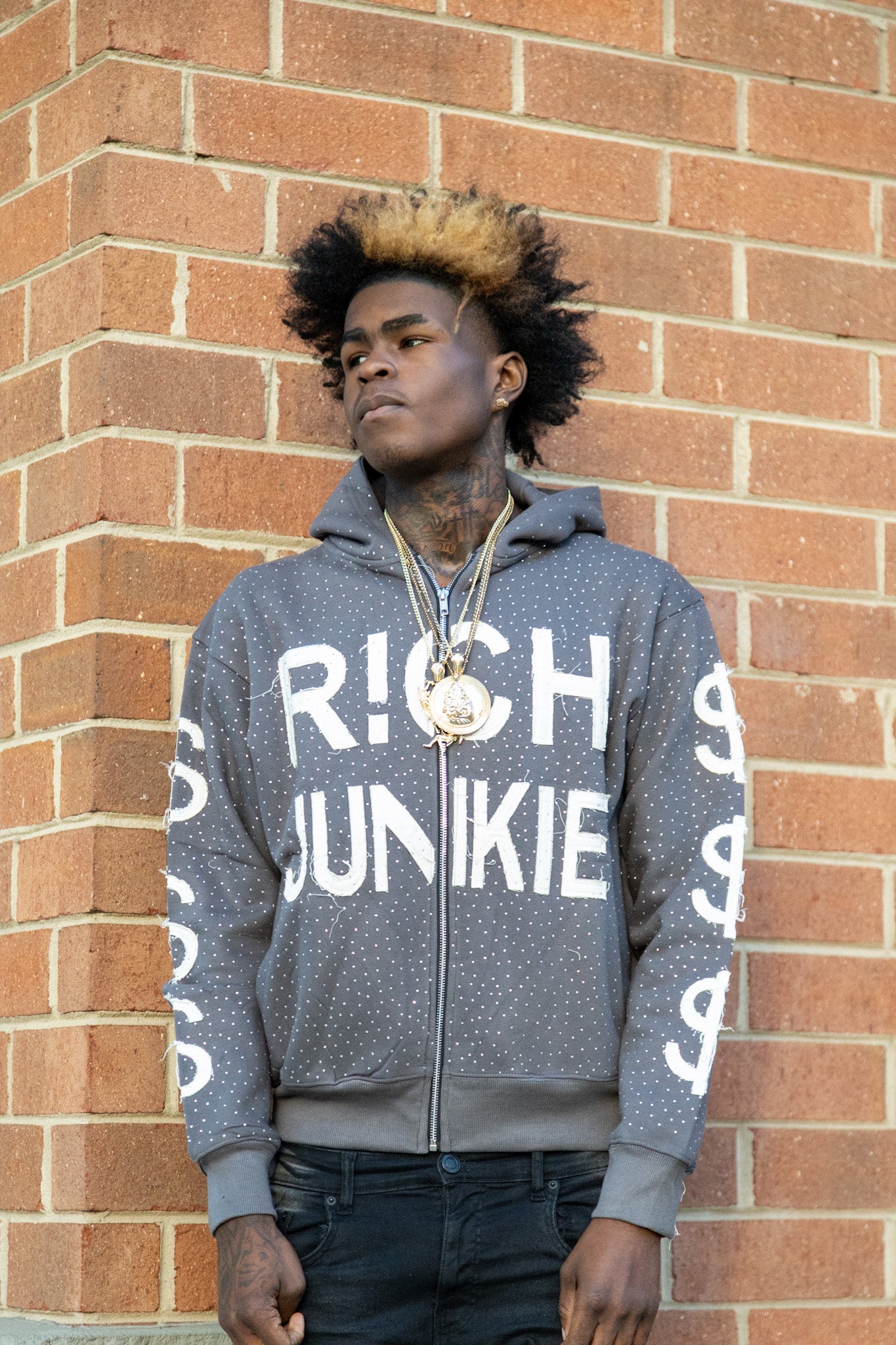 VaultVisions™ Grey/Ash “RICH JUNKIE” Rhinestone Zip Jacket – Luxury Unisex Streetwear |  Edition | Free Shipping